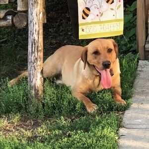 Meet your Posher, Marie